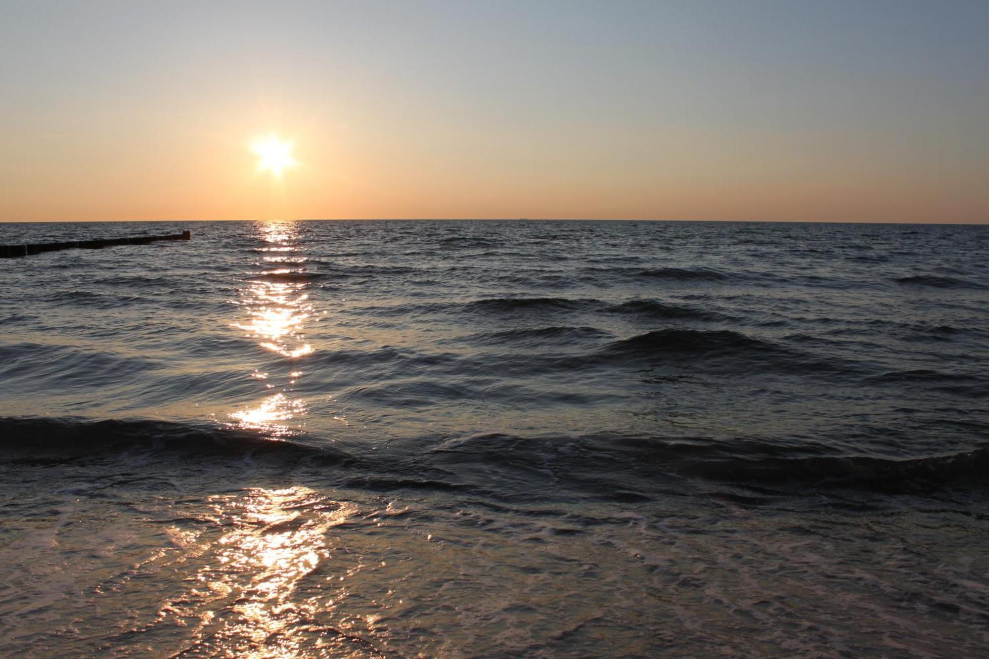 -"Strandhaus Friedrich"- เดียร์ฮาเกิน ภายนอก รูปภาพ