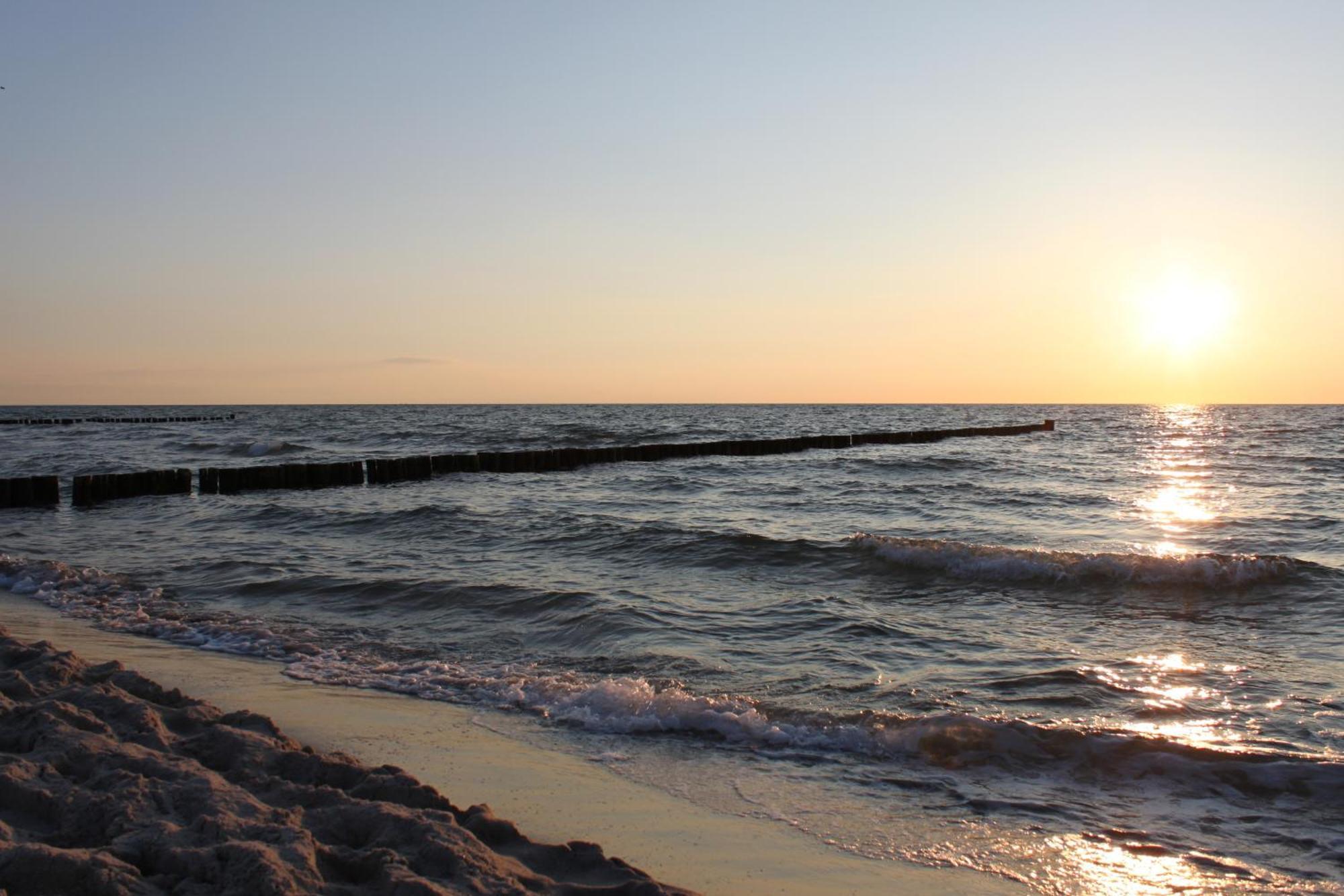 -"Strandhaus Friedrich"- เดียร์ฮาเกิน ภายนอก รูปภาพ