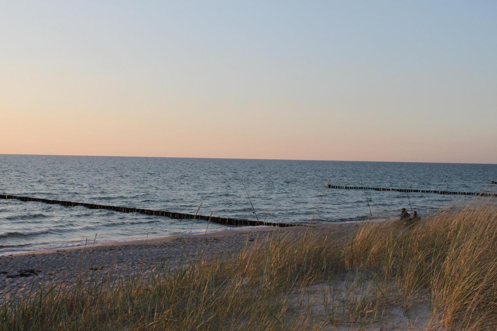 -"Strandhaus Friedrich"- เดียร์ฮาเกิน ภายนอก รูปภาพ