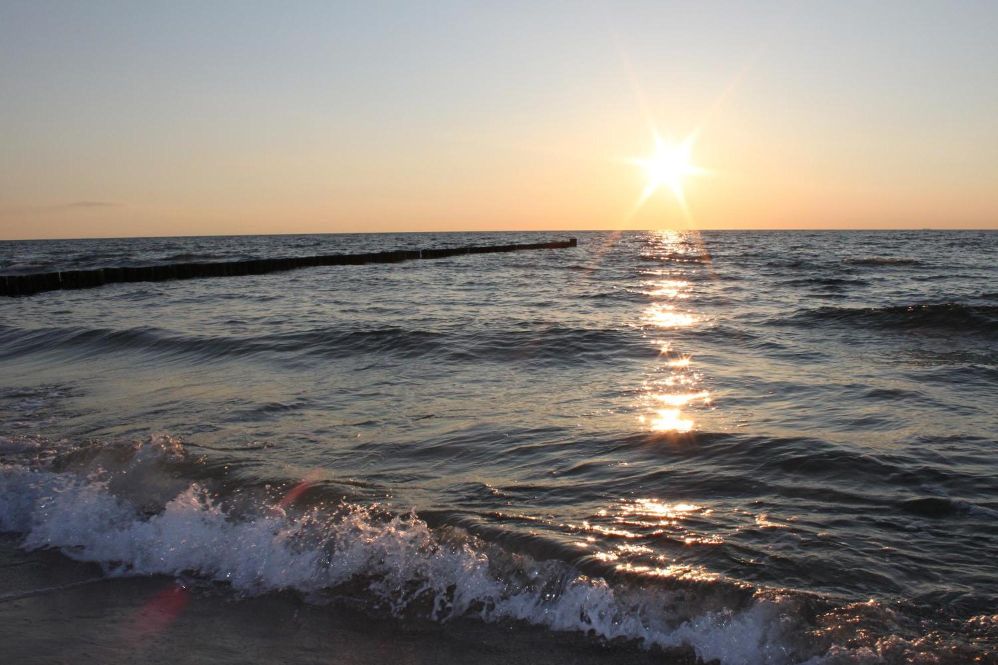 -"Strandhaus Friedrich"- เดียร์ฮาเกิน ภายนอก รูปภาพ