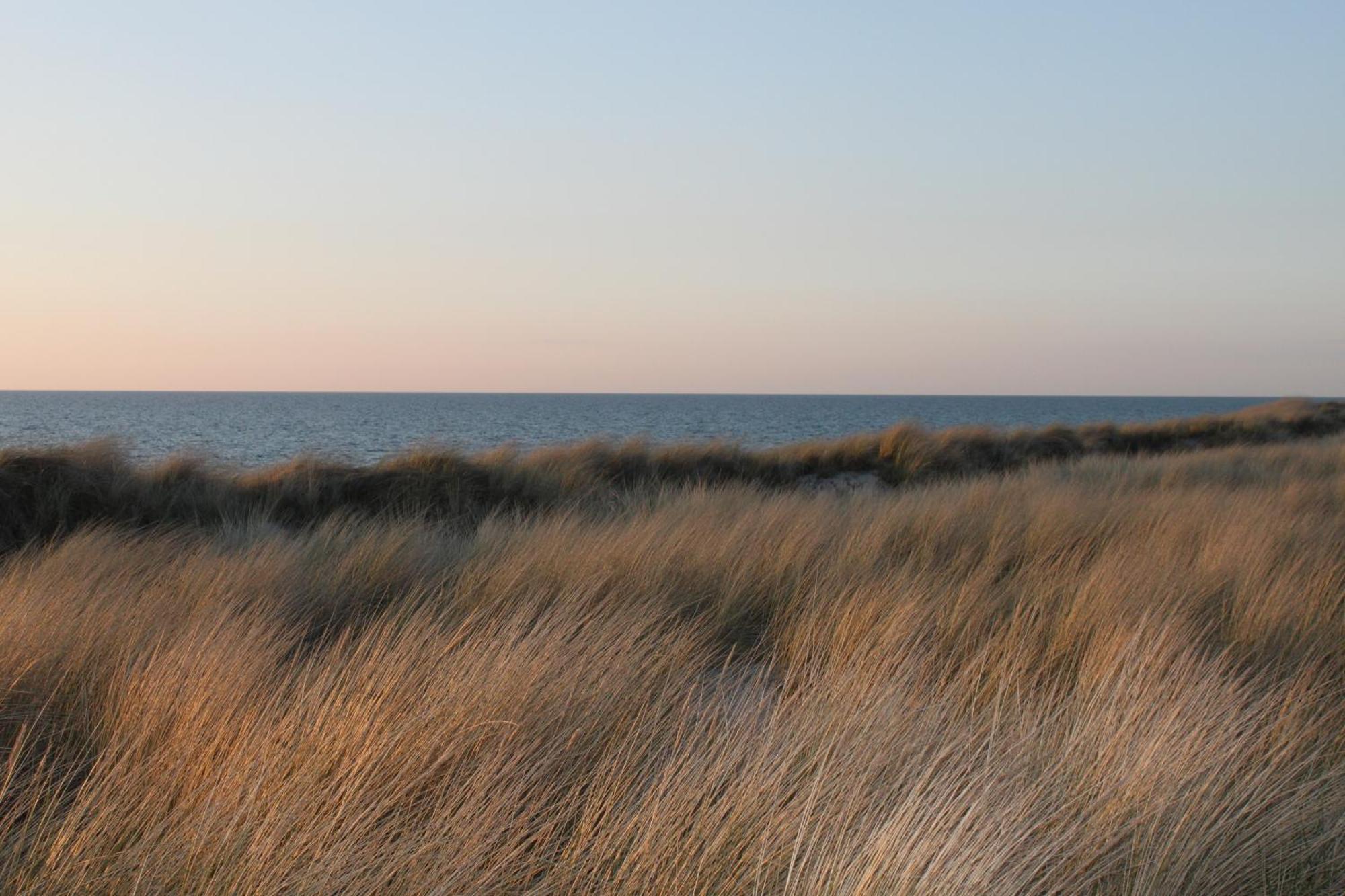 -"Strandhaus Friedrich"- เดียร์ฮาเกิน ภายนอก รูปภาพ